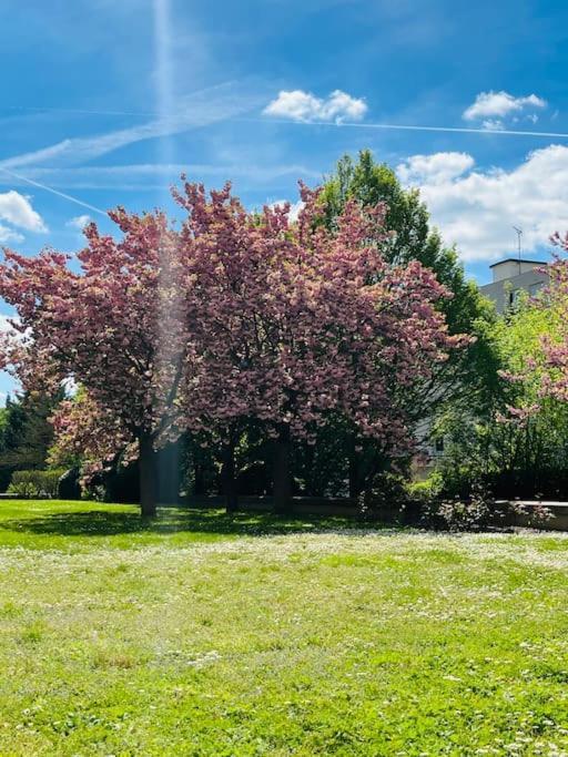 Studio Situe A 5 Min Du Chateau De Versailles Et Stationnement Gratuit Экстерьер фото